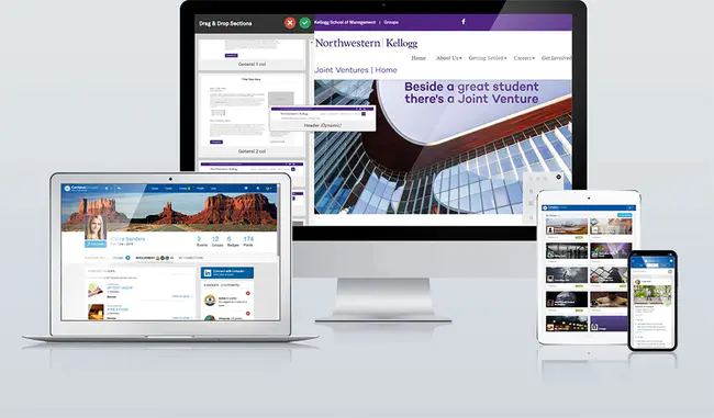 Campus Accountability Partner : 校园责任合伙人