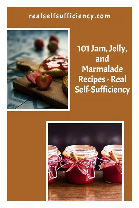 Jelly And Marmalade : 果冻和果酱