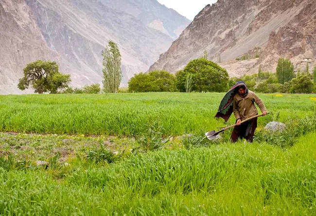 Seasonal Irrigation Program : 季节性灌溉计划
