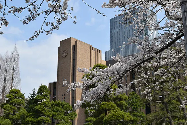 Tohoku Fukushi University : 东北福祉大学