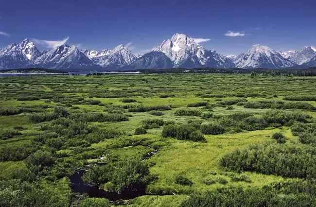 Teton Gravity Research : 提顿重力研究