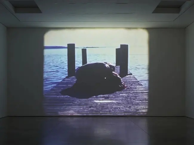 World Association Of Children And Parents : 世界儿童家长协会