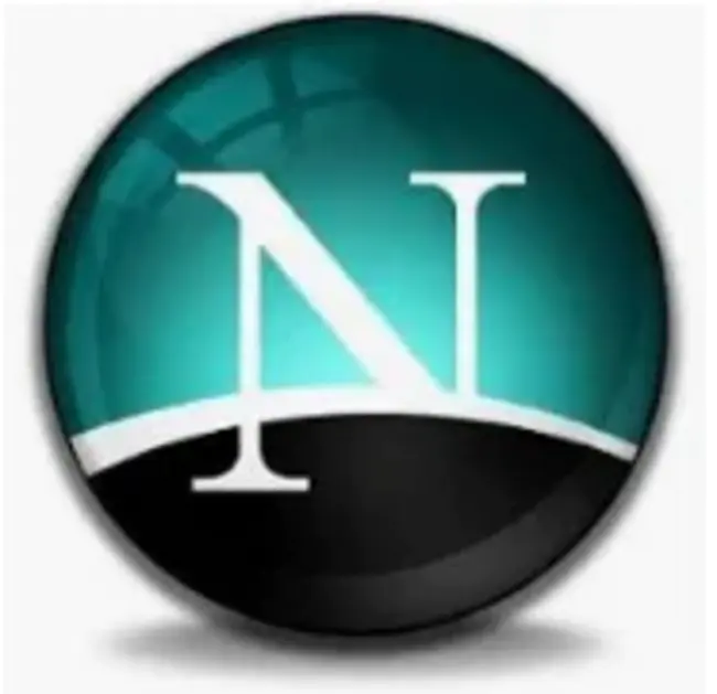 Netscape Plugin : Netscape插件