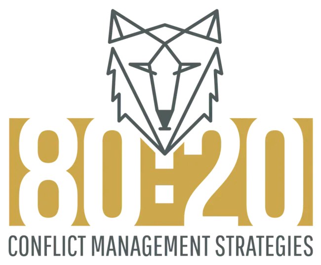 Conflict Management Group : 冲突管理组