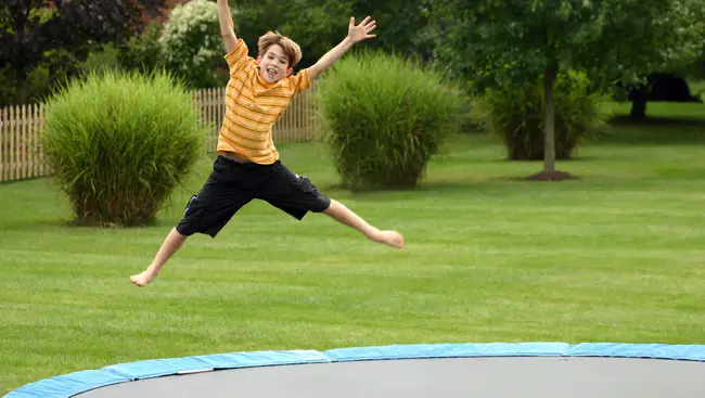 Trampoline Wrestling Federation : 蹦床摔跤联合会