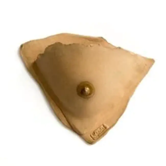 Arthritis National Research Foundation : 关节炎国家研究基金会