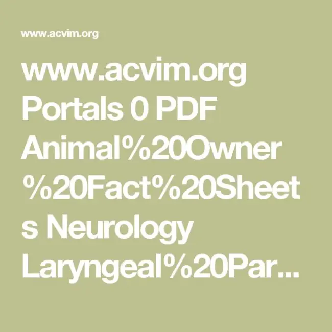 Kent Waldrep National Paralysis Foundation : 肯特-沃尔德雷普全国瘫痪基金会