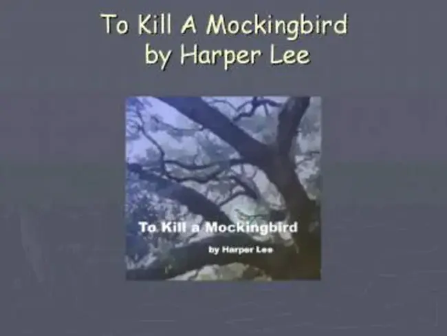 To Kill A Mockingbird : 杀死一只知更鸟