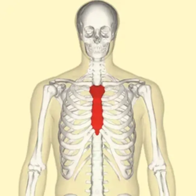 Annual Refresher Training : 年度进修培训