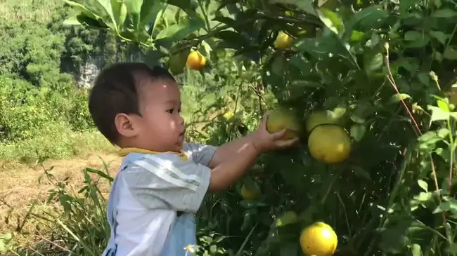 Henry M. Jackson Foundation : 杰克逊基金会