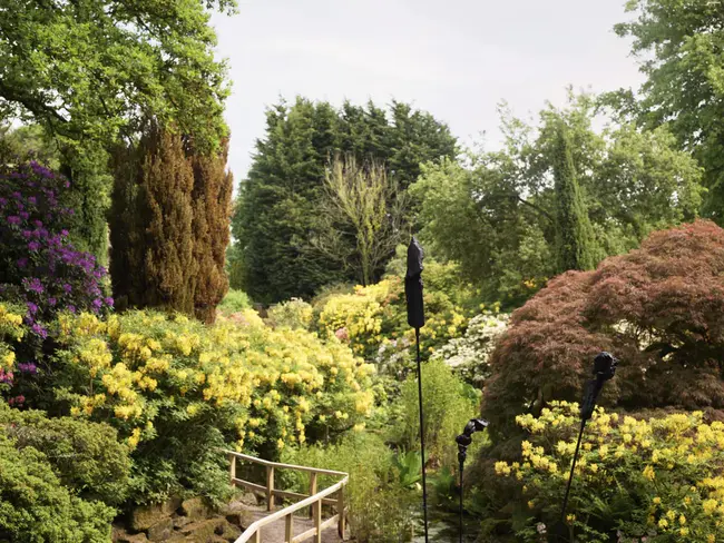 Lost and Found, Inc. : 失物招领公司