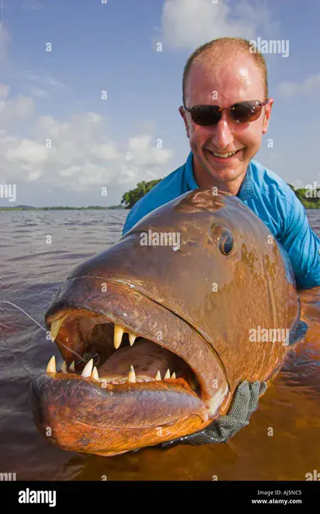 Iguela, Gabon : Iguela，Gabon