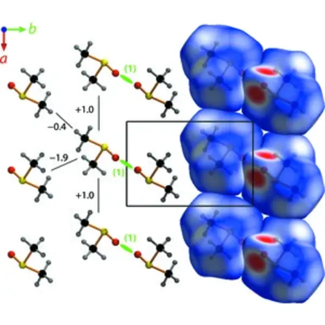 Inter Cellular Adhesion Molecule : 细胞间粘附分子