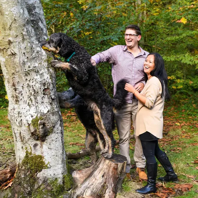 Puppy Walker Family : 小狗沃克家