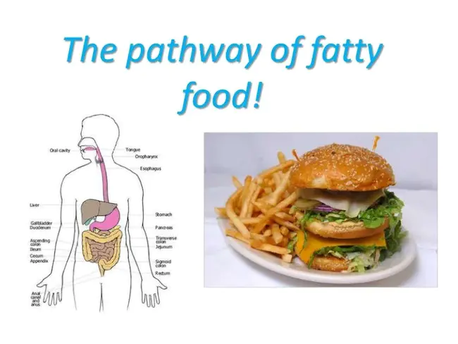 Cetylated Fatty Acid : 酯化脂肪酸