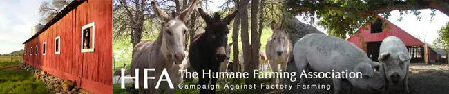 Humane Farming Association : 人道养殖协会