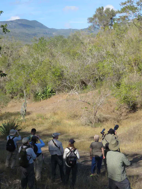 Caribbean Forest Conservation Association : 加勒比森林保护协会