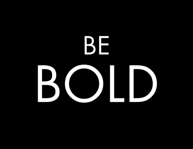 Bold : 大胆的