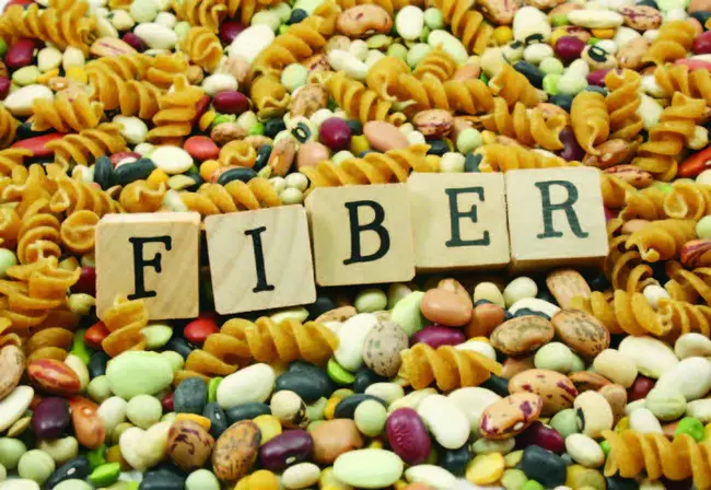 Fiber : 纤维