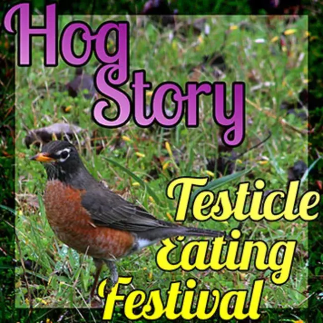 Extra Testicle : 睾丸外