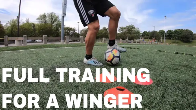 TRaining Wing : 训练翼