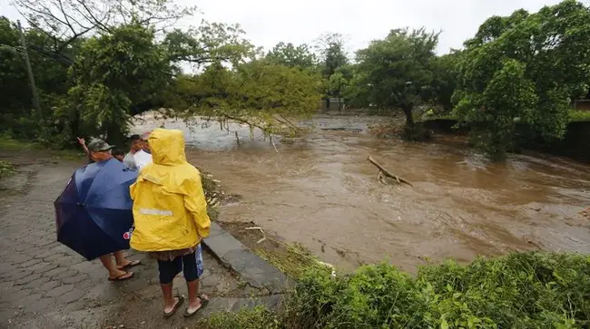 Tropical Storm : 热带风暴