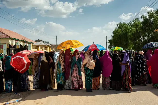 Somaliland National Movement : 索马里兰民族运动