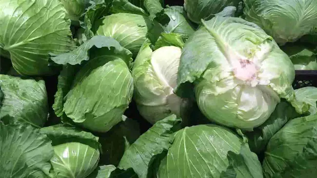 Cabbage Patch Kidhi : 小白菜