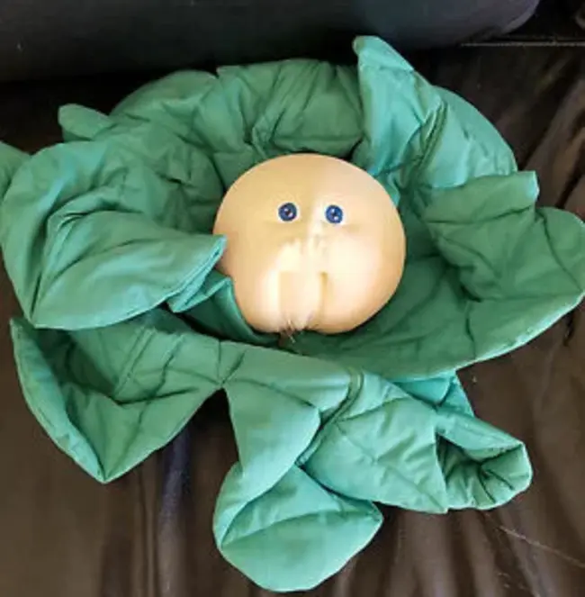 Cabbage Patch Kid : 小白菜