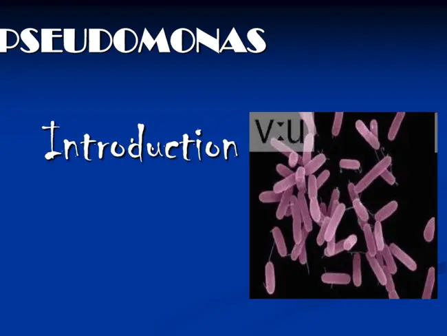 Pseudomonas Specific Enzyme : 假单胞菌特异性酶