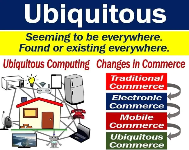 Ubiquitous : 无处不在的