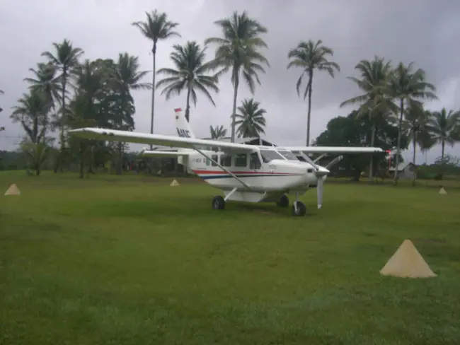 Rumginae, Papua New Guinea : 巴布亚新几内亚鲁姆吉亚科