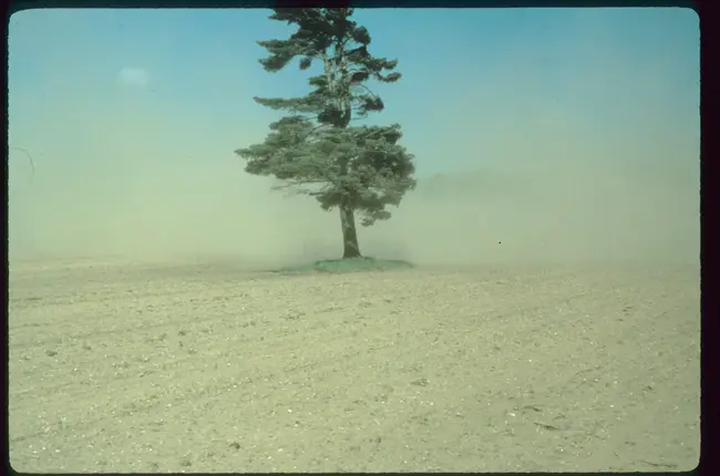 Upland Erosion Process : 陆地侵蚀过程