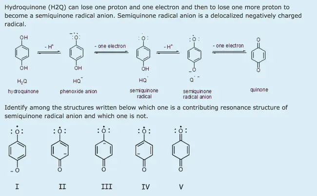 SemiQuinone : 半醌