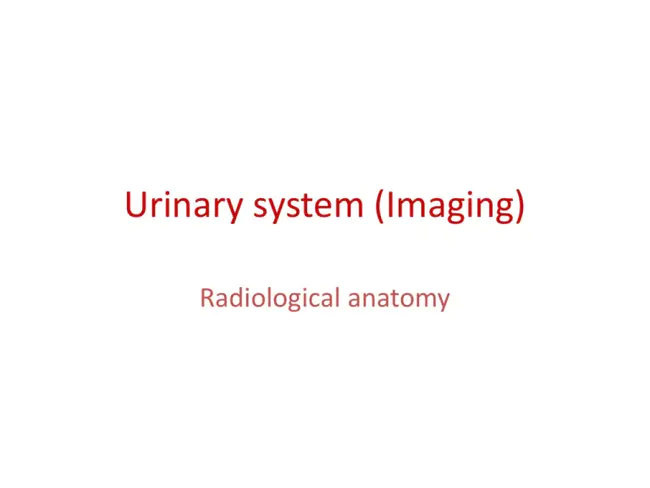 Uro-Radiology Prostate Institute : 泌尿放射前列腺研究所