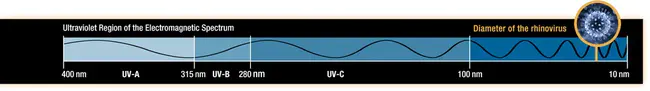 Ultra-Violet Wavelength : 紫外线波长