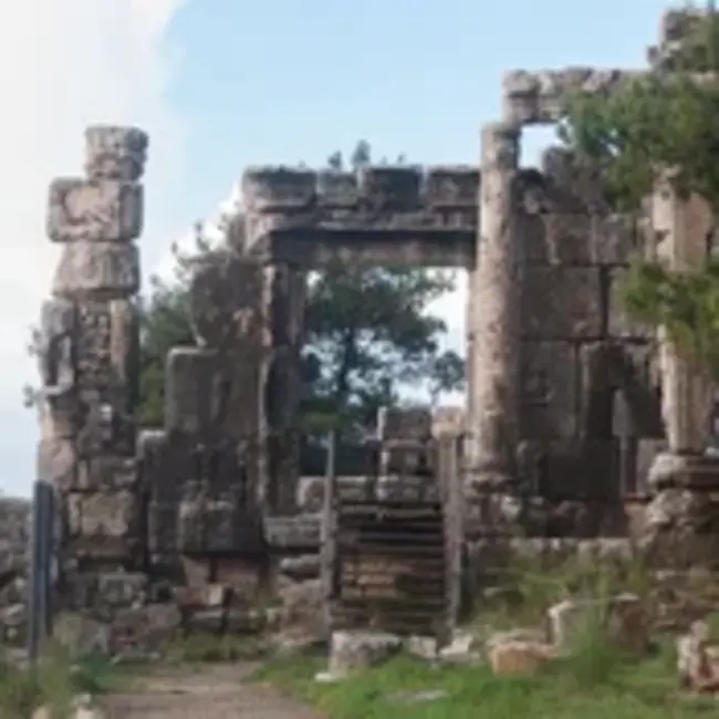 Vista Buddhist Temple : 维斯塔佛寺