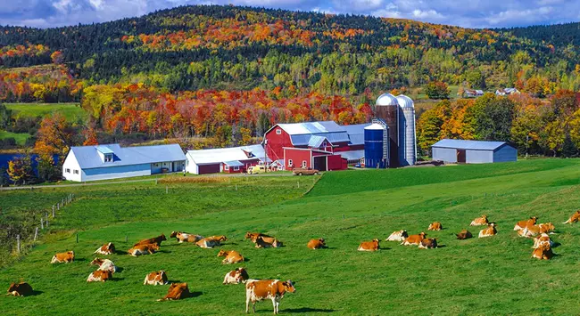 Vermont Emergency Management : 佛蒙特州应急管理