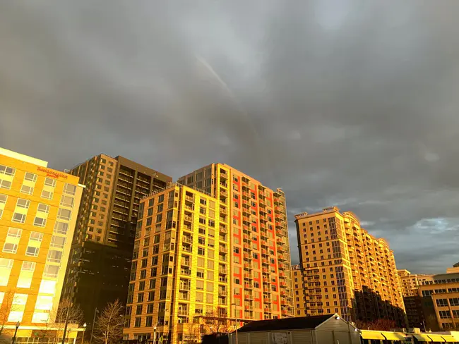 Virginia Fontaine Addictions Foundation : 弗吉尼亚-方丹瘾基金会