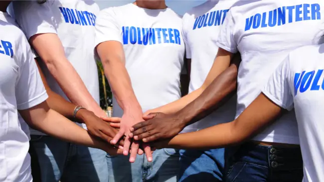 Volunteer Hospice Network : 志愿收容所网络