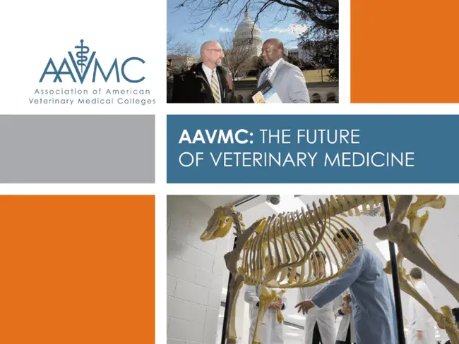 American Academy of Veterinary Disaster Medicine : 美国兽医灾害医学学会