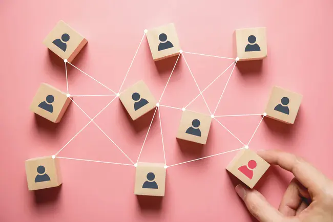 British Equine Veterinary Association : 英国马兽医协会