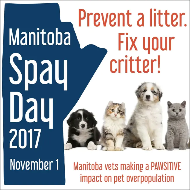 Florida Veterinary Medical Association : 佛罗里达州兽医医学协会