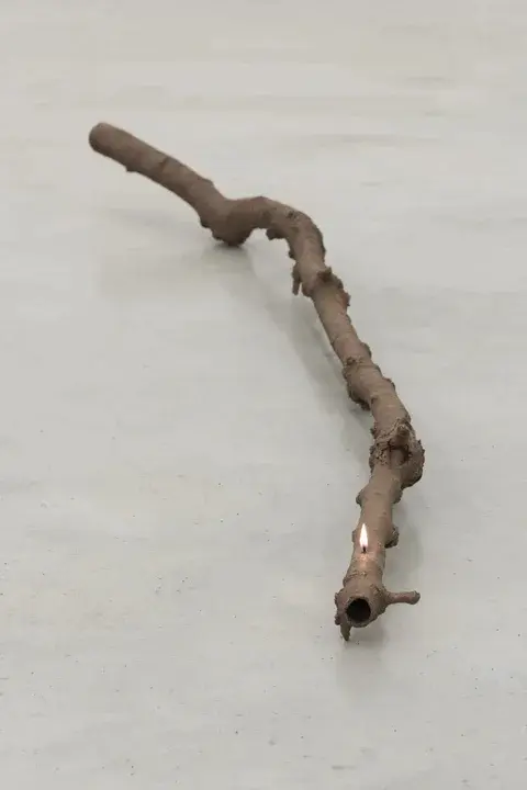 Lithuanian Institute of Veterinary Studies : 立陶宛兽医研究所