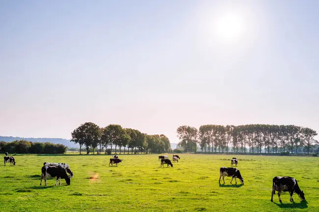 National Registration Authority for Agricultural and Veterinary Chemicals ( Australia) : 国家农业和兽医化学品注册管理局（澳大利亚）