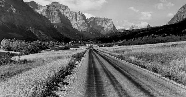 Veterinary Molecular Biology Laboratory ( Montana State University) : 兽医分子生物学实验室（蒙大拿州立大学）