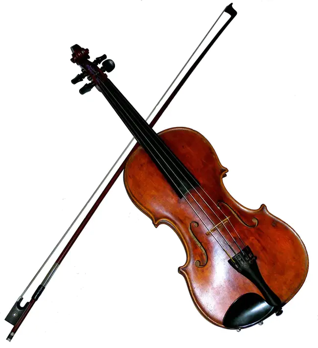 Violin : 小提琴