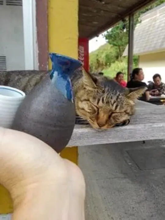 Performance Acceleration Technlogy : 性能加速技术