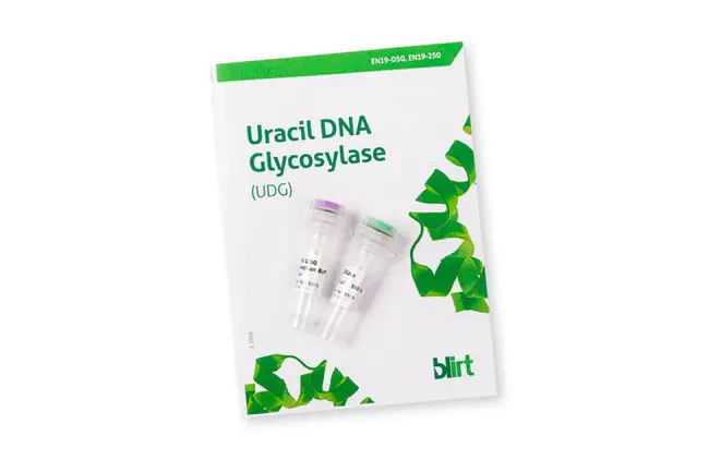 Uracil N Glycosylase : 尿嘧啶N糖基化酶