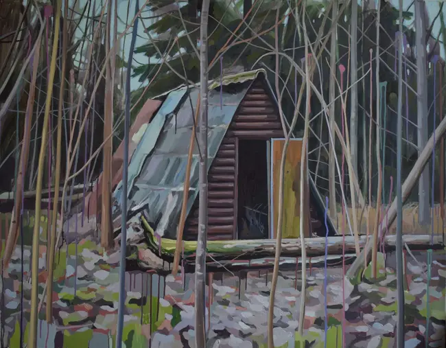 Watershed Organization Trust : 流域组织信任